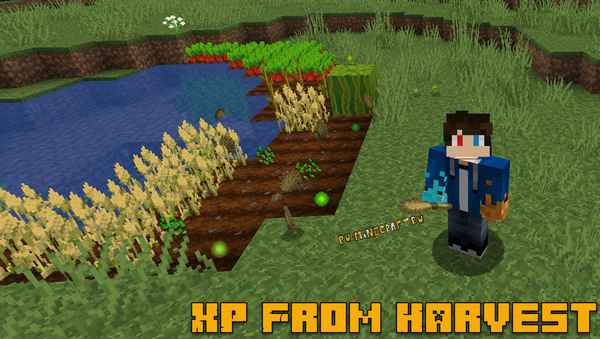 XP From Harvest DP [1.14] / Моды на Майнкрафт / 